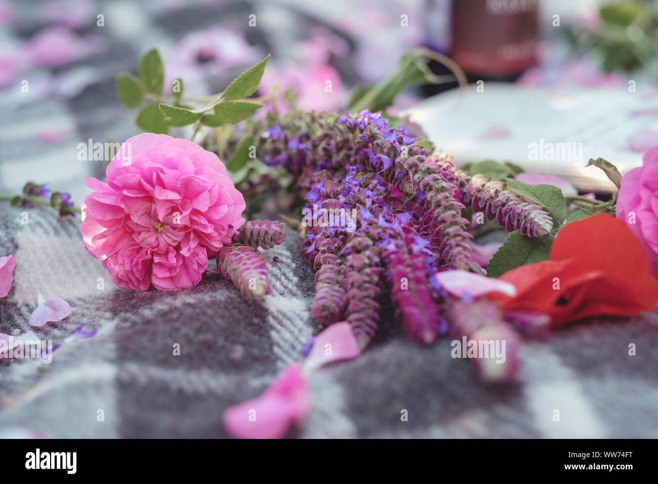 Flower series, free time of summer Provence, books reading at sunset ...