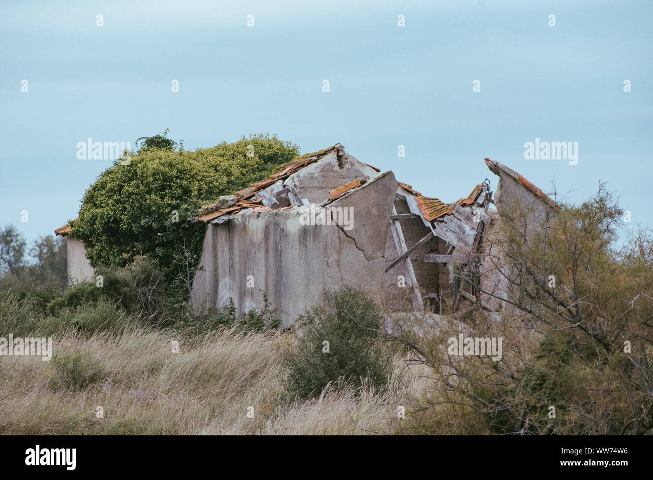 On the road in the natural paradise of Camargue in southern France Stock Photo