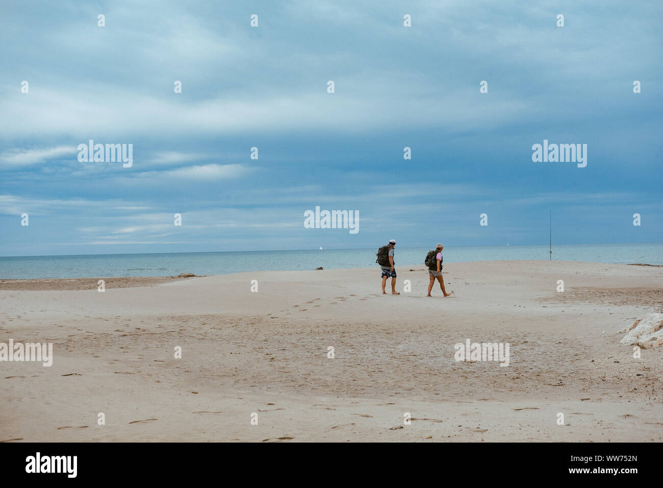 On a beach in the natural paradise Camargue in the south of France Stock Photo