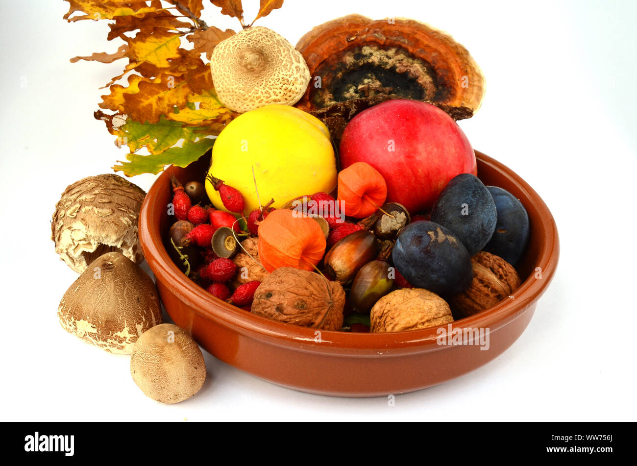Autumn decoration - fall in a ceramic bowl - - fruit, fall leaves, acorns, nuts and mushrooms Stock Photo