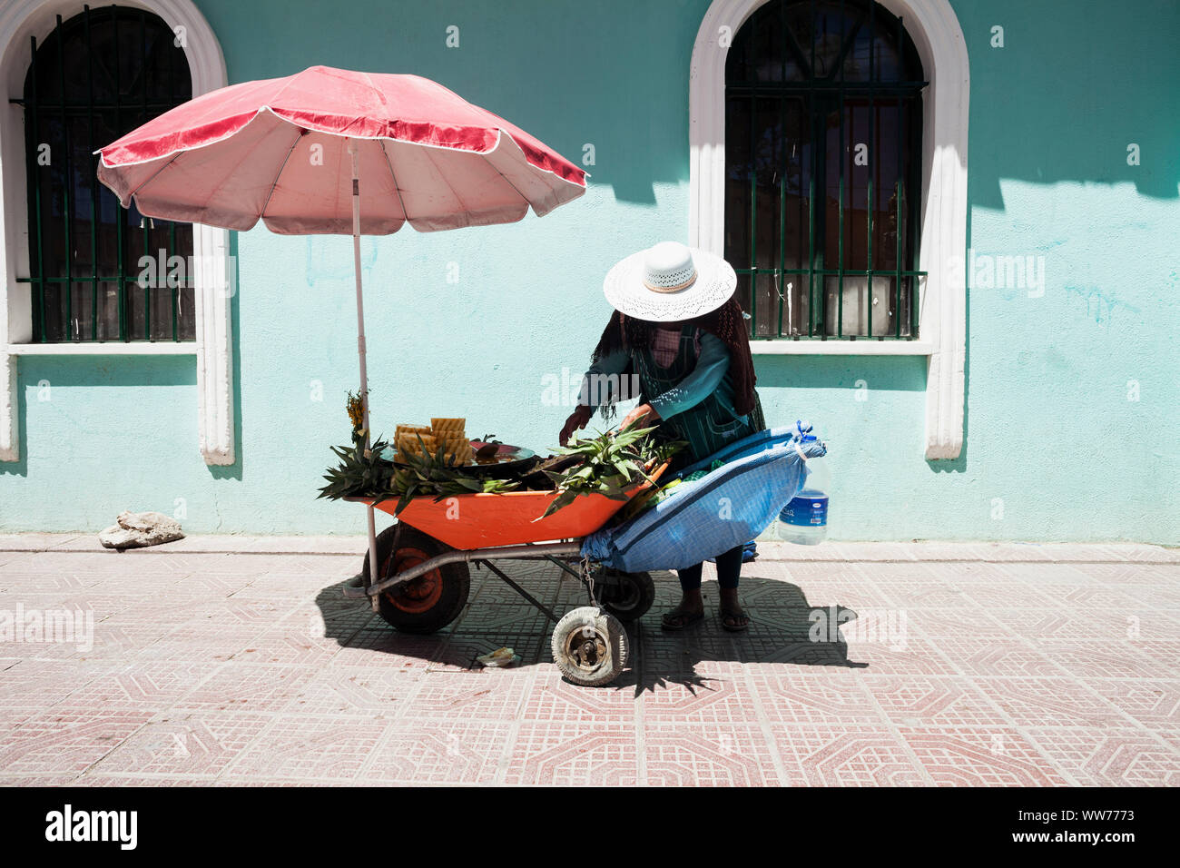 Bolivia, Uyuni, fruit stall, woman selling pineapples Stock Photo