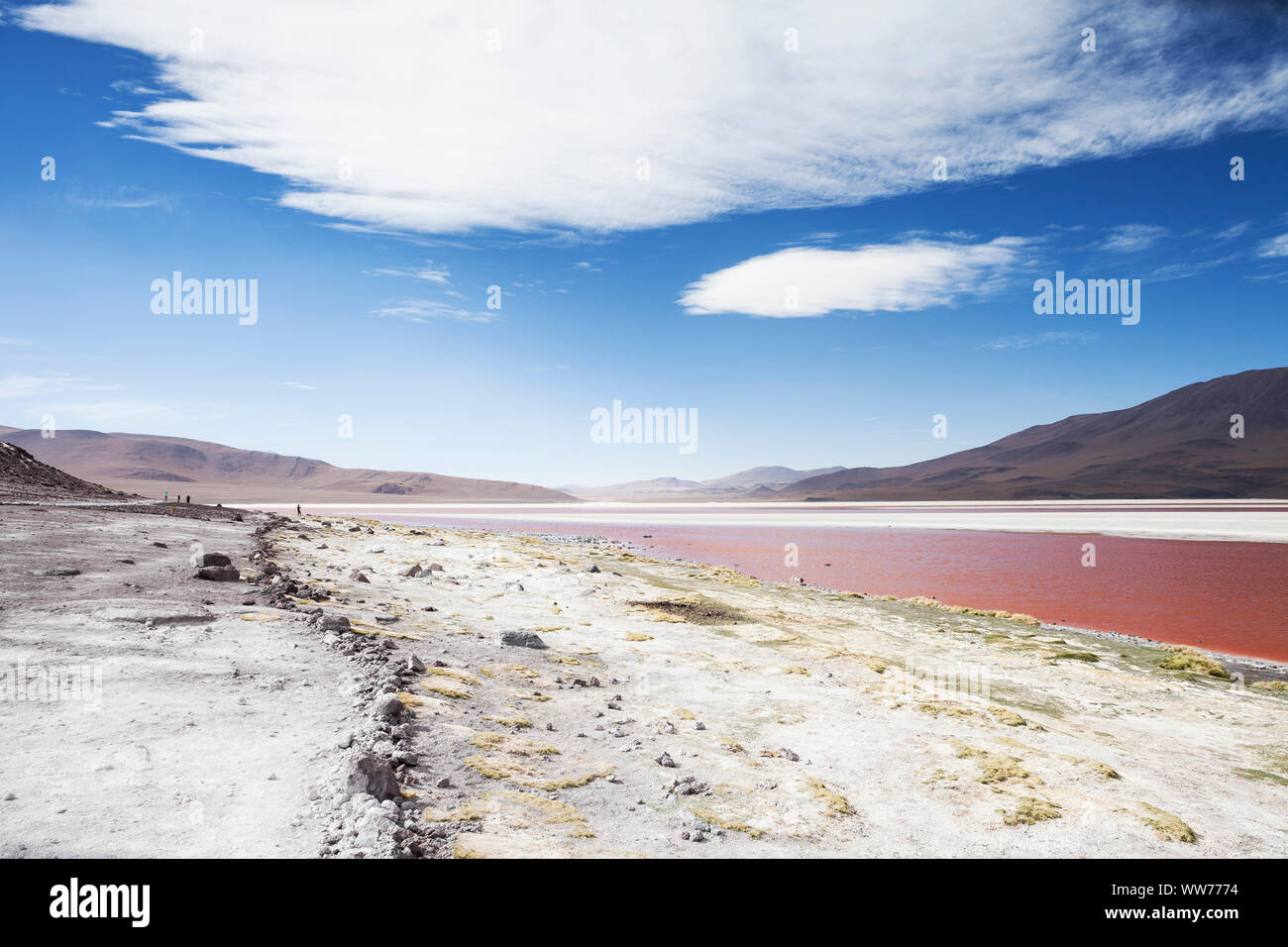 Bolivia, Eduardo Abaroa Andean Fauna National Reserve, Laguna Colorada Stock Photo