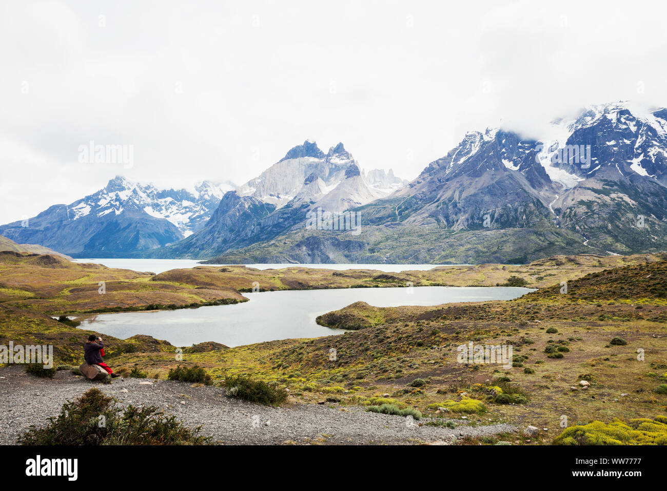 Chile, Patagonia, Torres del Paine National Park Stock Photo