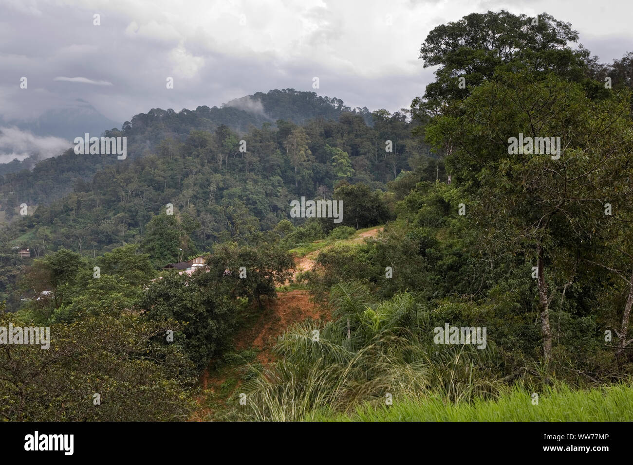 Sierra, Madre, del, Sur Stock Photo Alamy