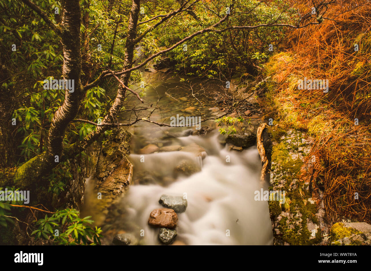 River landscape, Glen Etive Valley, Highlands, Scotland Stock Photo