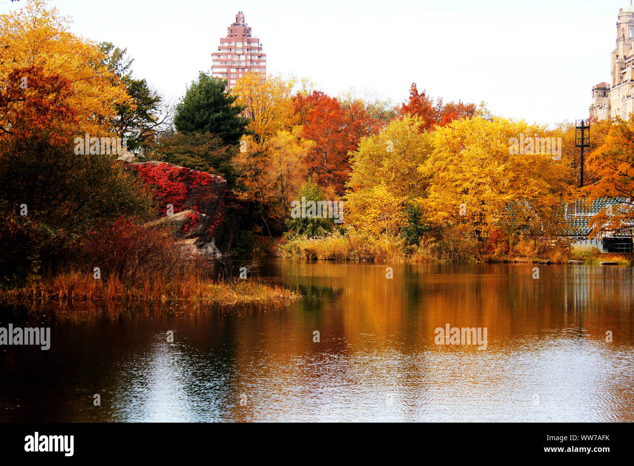 Trees and lake during autumn in Central Park, New York City Stock Photo ...