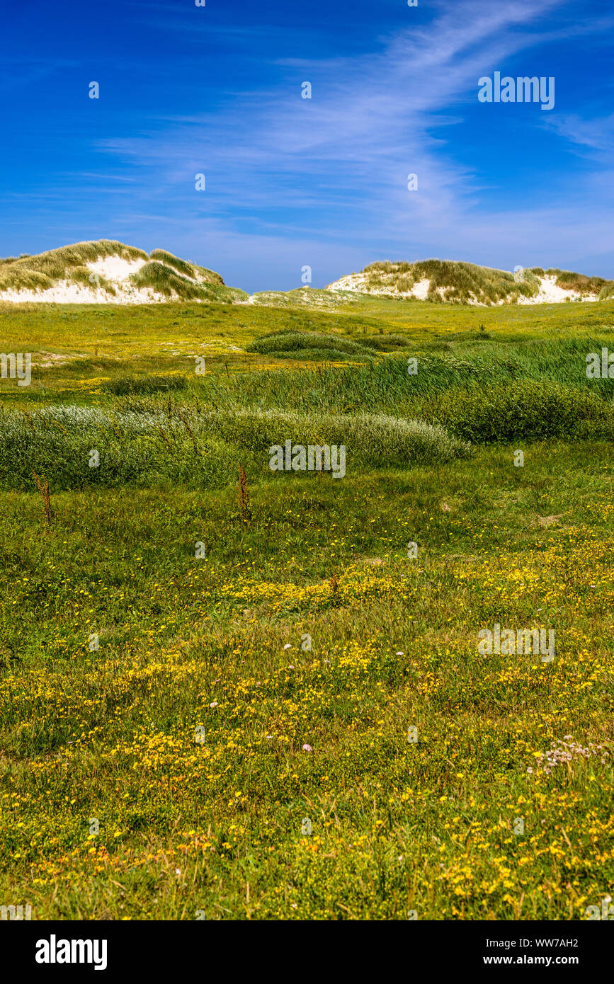 France, Brittany, FinistÃ¨re Department, Plomeur, Plage de Tronoen Beach, dune landscape Stock Photo