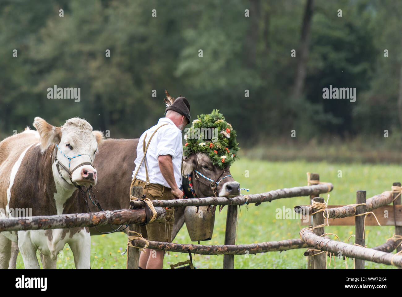 Lederhosen and mountain hi-res stock photography and images - Alamy