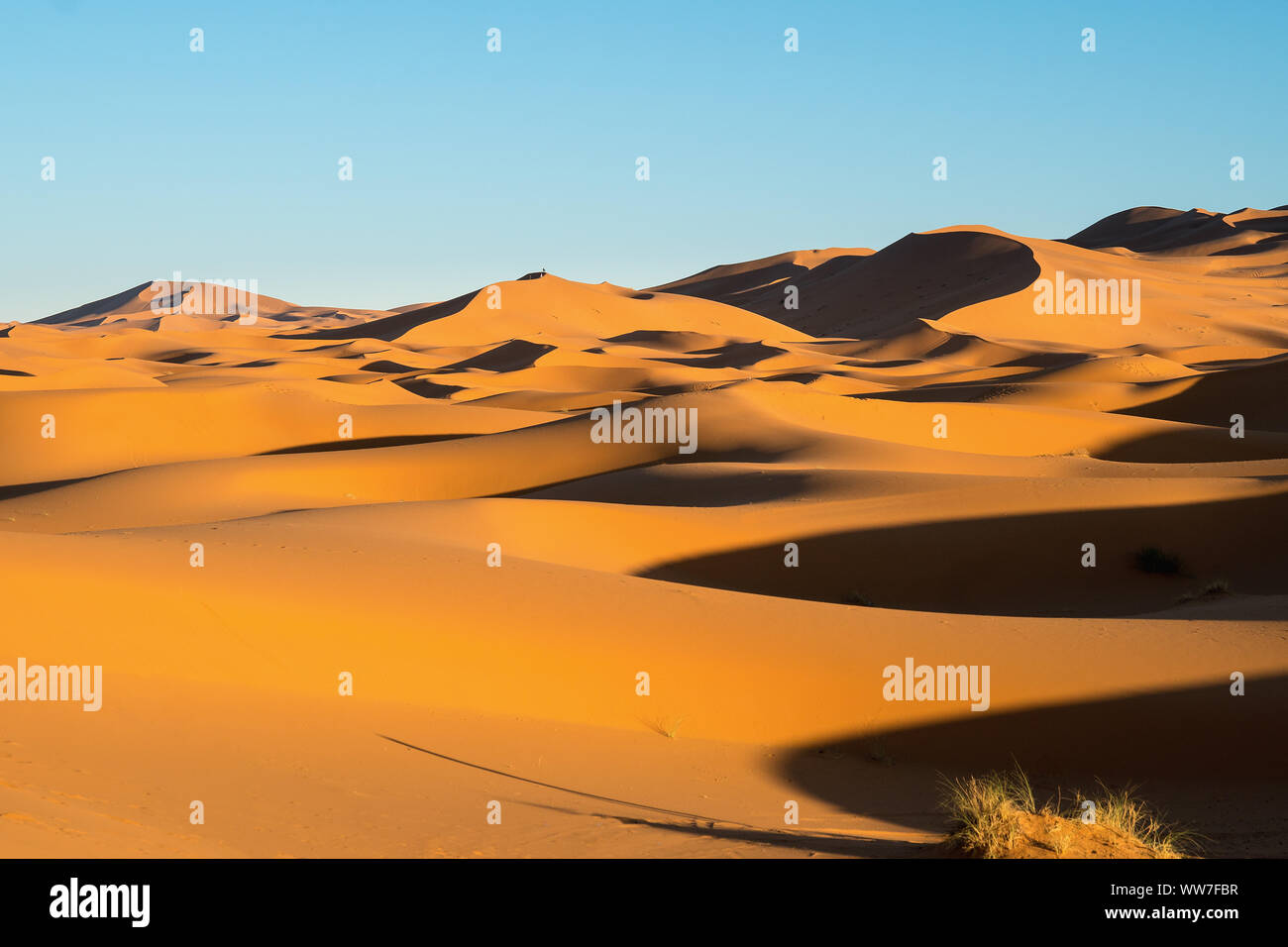 Morocco, Merzouga, desert, Sahara, sand dunes landscape Stock Photo - Alamy