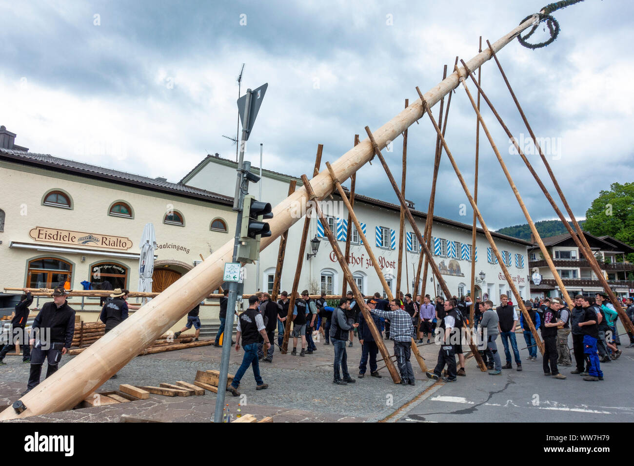 Germany, Bavaria, Benediktbeuern, setting up a maypole in Benediktbeuern Stock Photo