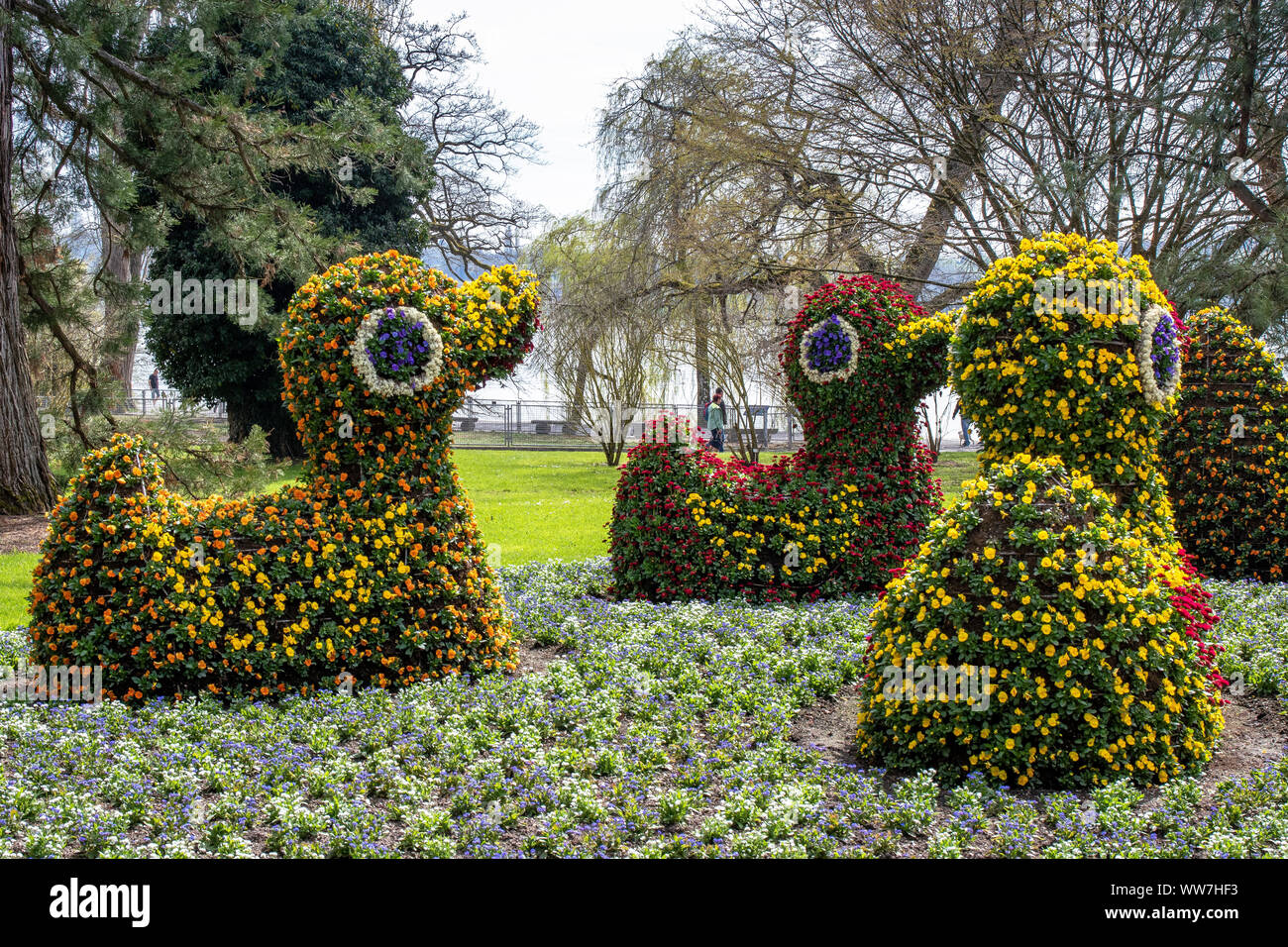 Germany, Baden-Wuerttemberg, Constance, Lake Constance, Mainau Island, Colorful flower art on the island of Mainau in Lake Constance Stock Photo