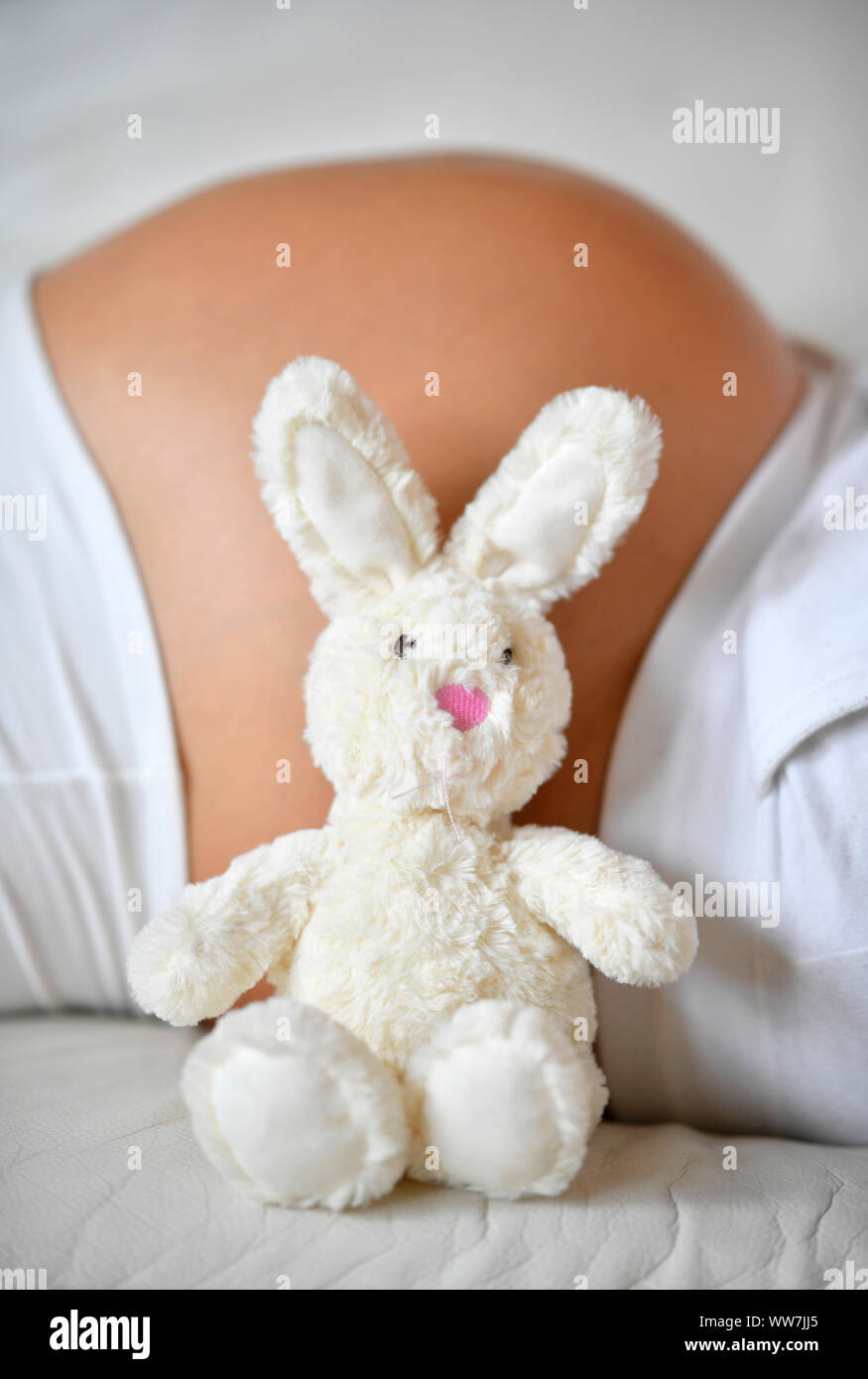Woman nine months pregnant, toy bunny, Germany Stock Photo