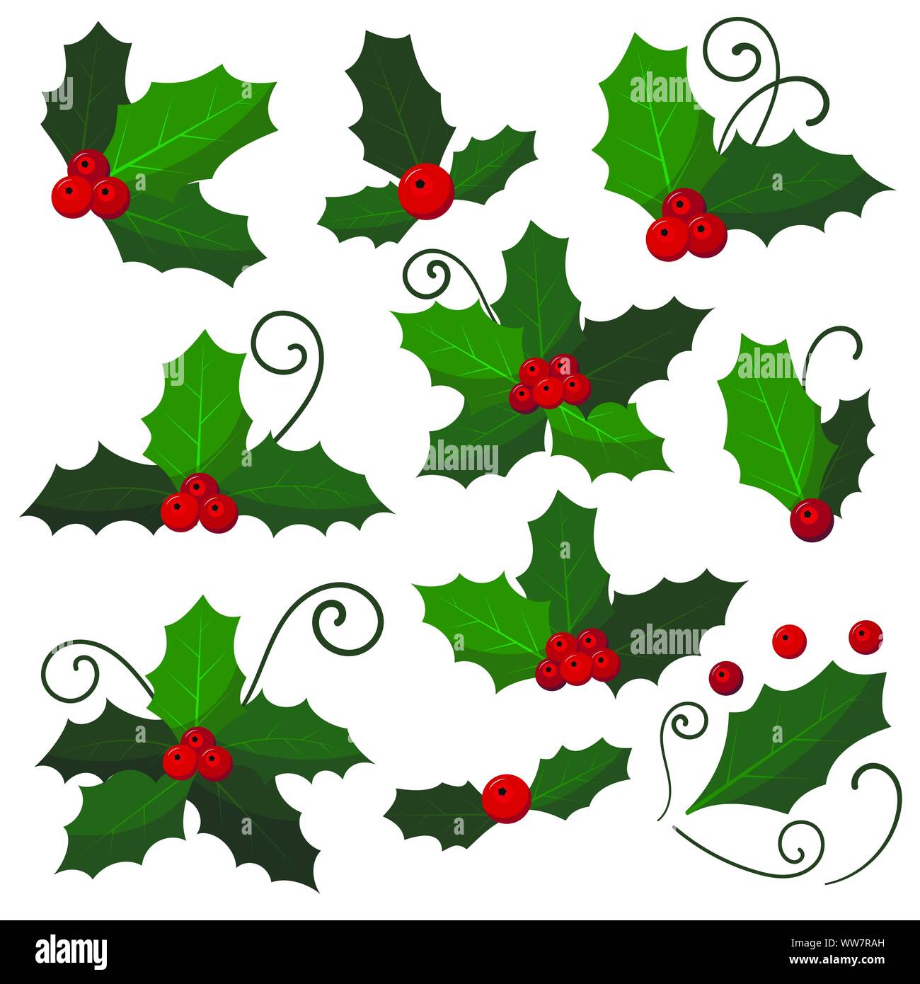 Set mistletoe branch isolated on white background. Stock Vector