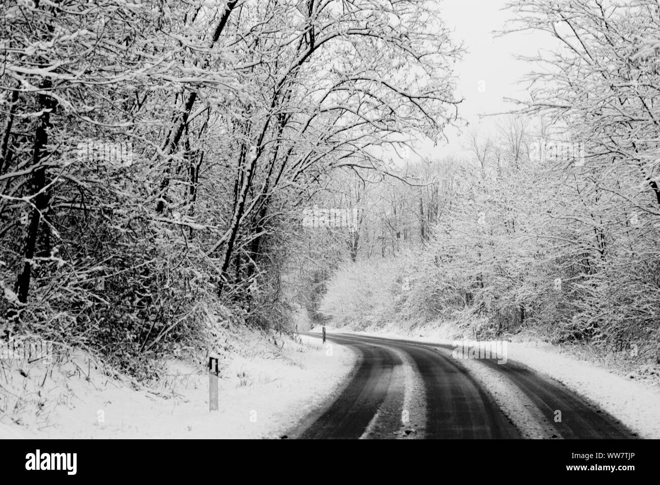 winter road with snow on the ground. travel in difficult way to enjoy the colder season. white image with black asphalt in contrast. drive and travel concept Stock Photo