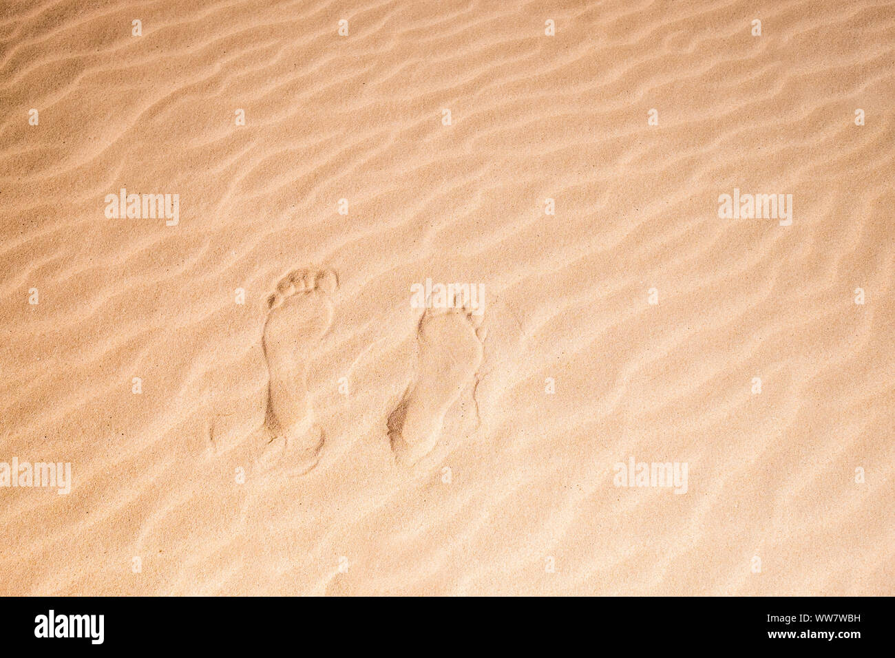 фото nudism 
