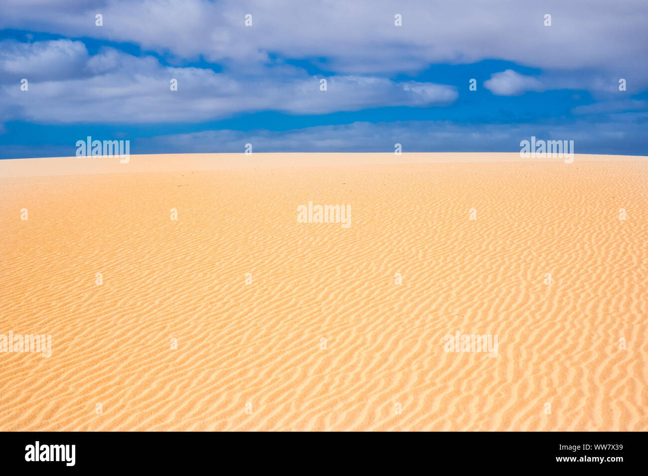 Sand dunes in the desert of Corralejo. Fuerteventura Canary Islands to live an adventure in vacation Stock Photo