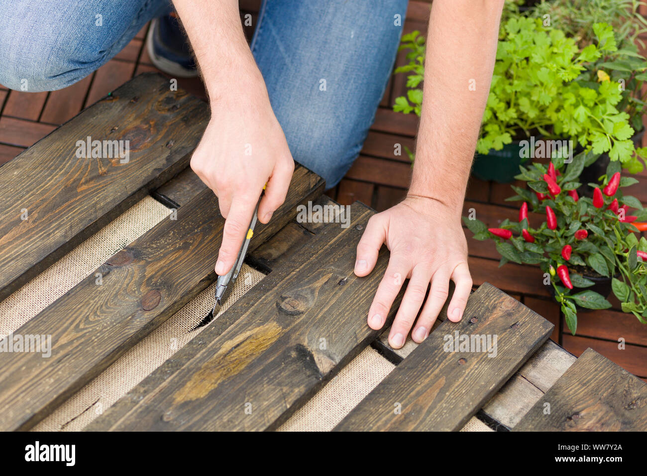 Self-built herb garden, knife, cut Stock Photo