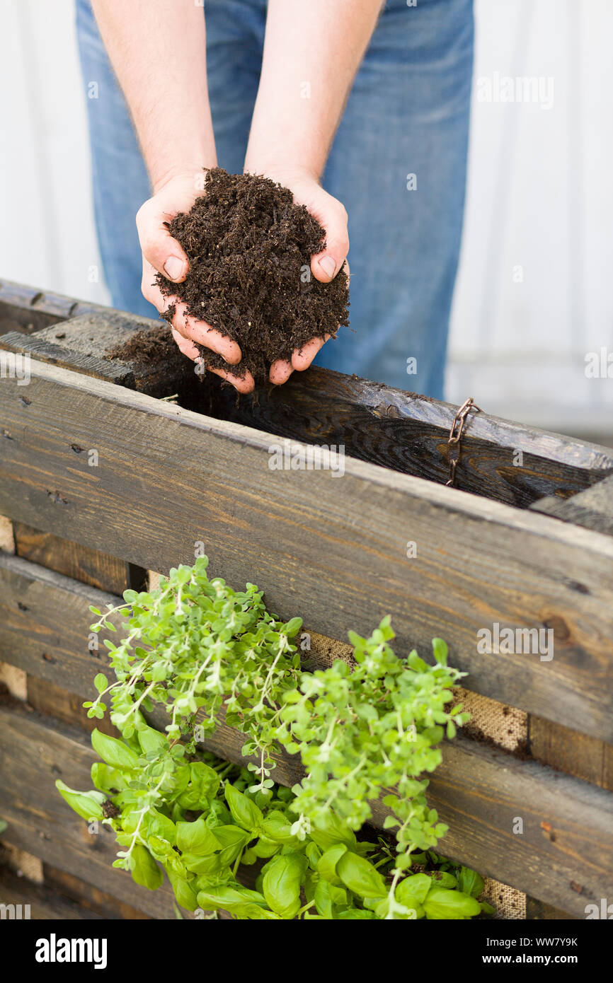Selfmade herb garden, vertical garden, soil, filling Stock Photo Alamy