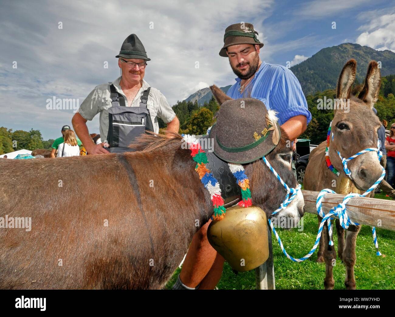  Farmers at the Almabtrieb in Oberstdorf, AllgÃ¤u, Swabia, Bavaria Motiv 