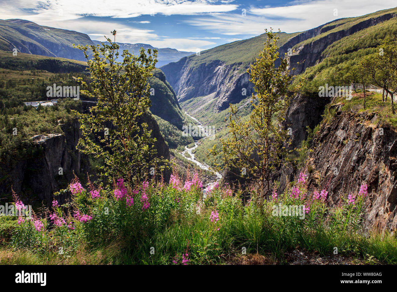 National Park Hardangervidda, Norway Stock Photo