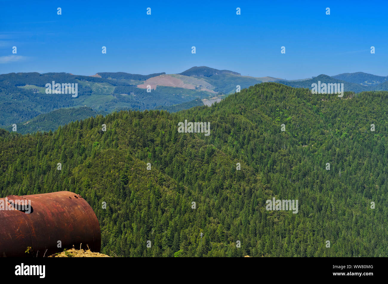 A rusted tank, left by a logging crew, along the road to Grassy Mountain Wilderness in the Rogue River-Siskiyou National Forest, near Port Orford Stock Photo