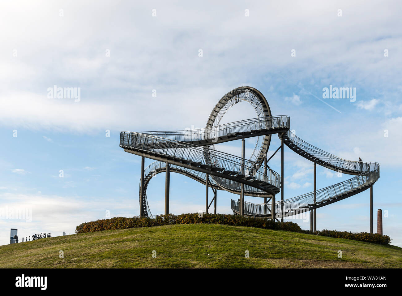 Turtle cut out hi-res stock photography and images - Alamy