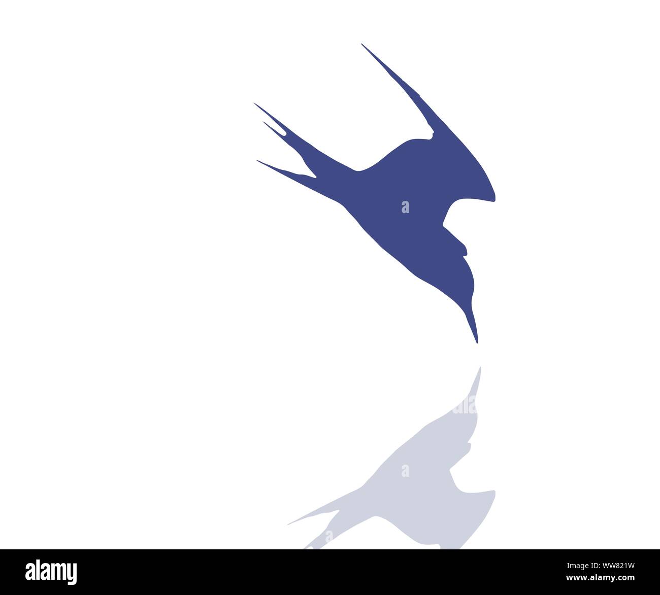 Tern bird rushing into the water Stock Vector