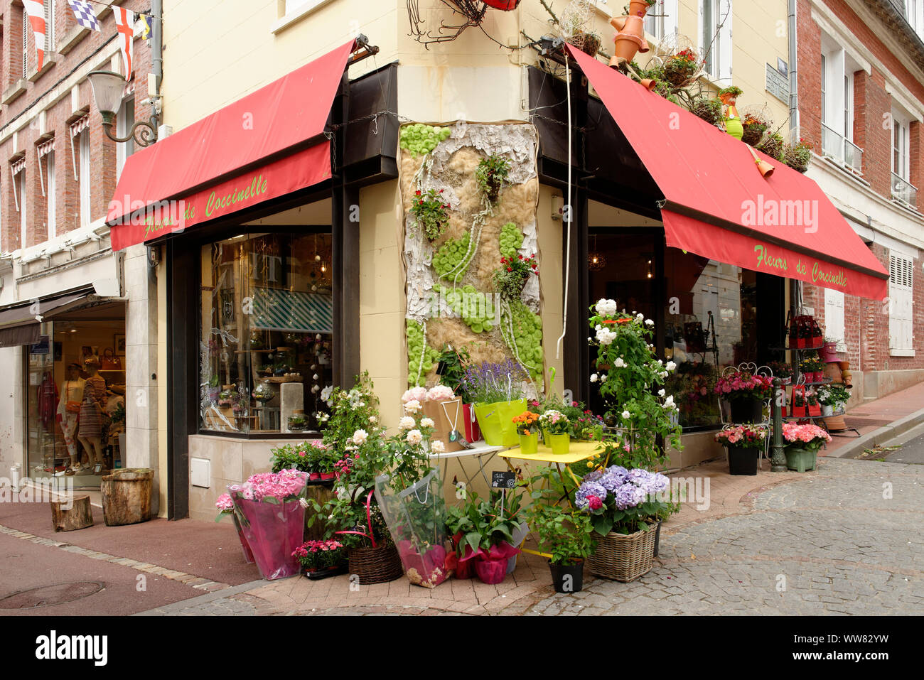 Florist in Trouville-sur-Mer, Calvados, Basse-Normandie, English Channel, France Stock Photo