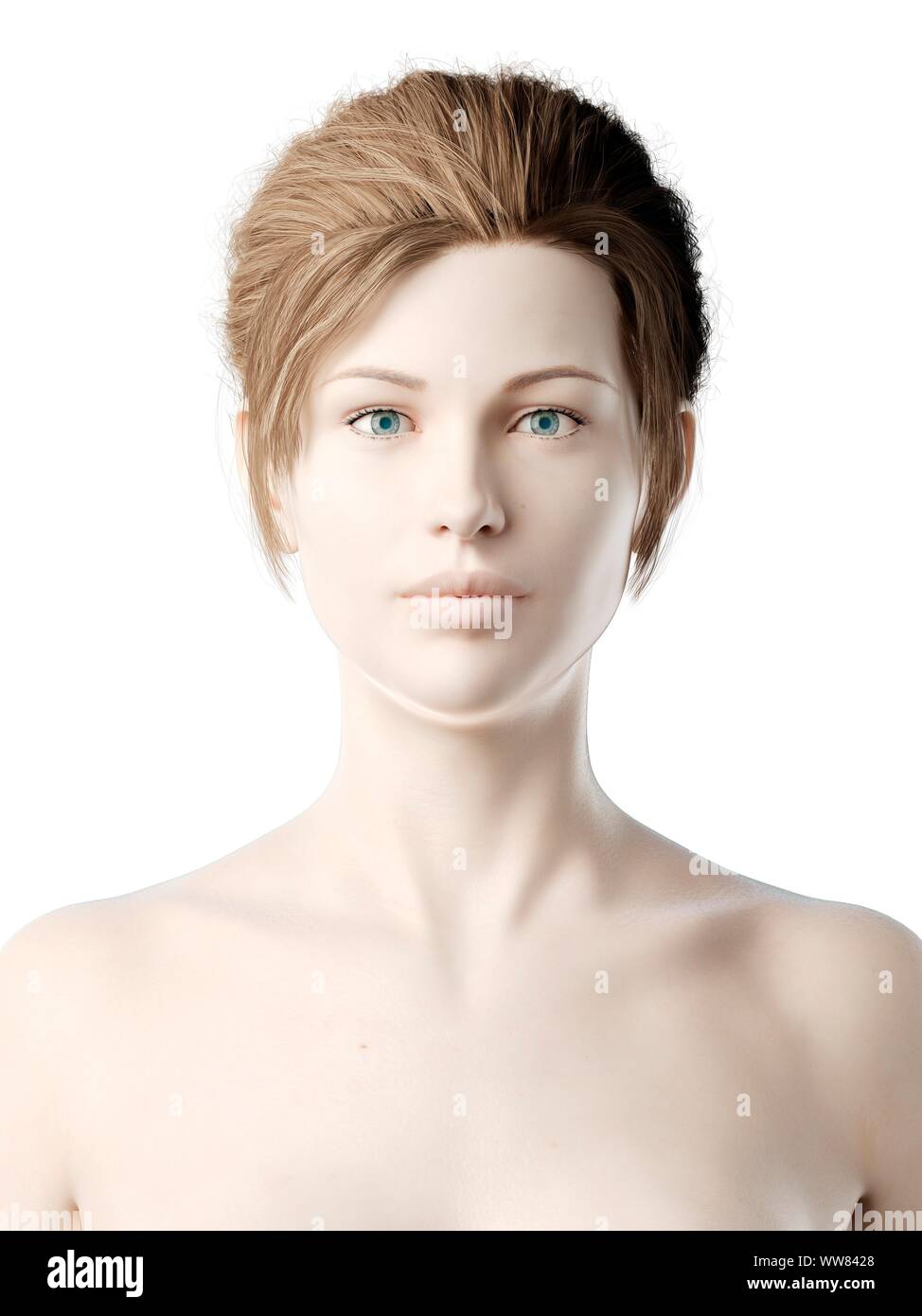 Female head, illustration Stock Photo