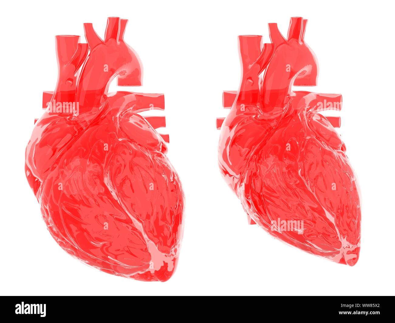 Heart in diastole and systole, illustration Stock Photo - Alamy