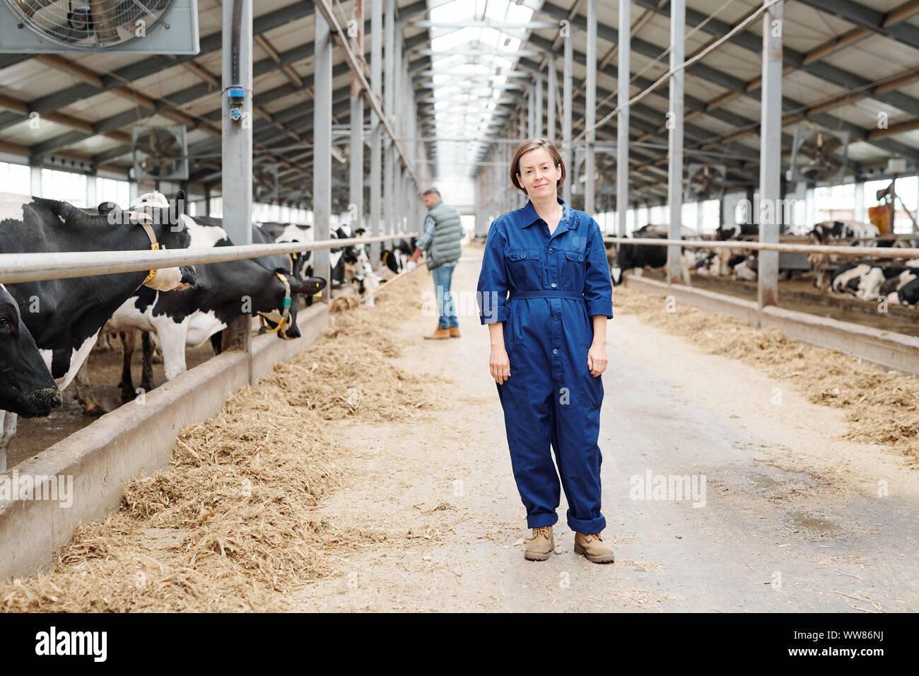 Dairy aisle hires stock photography and images Alamy