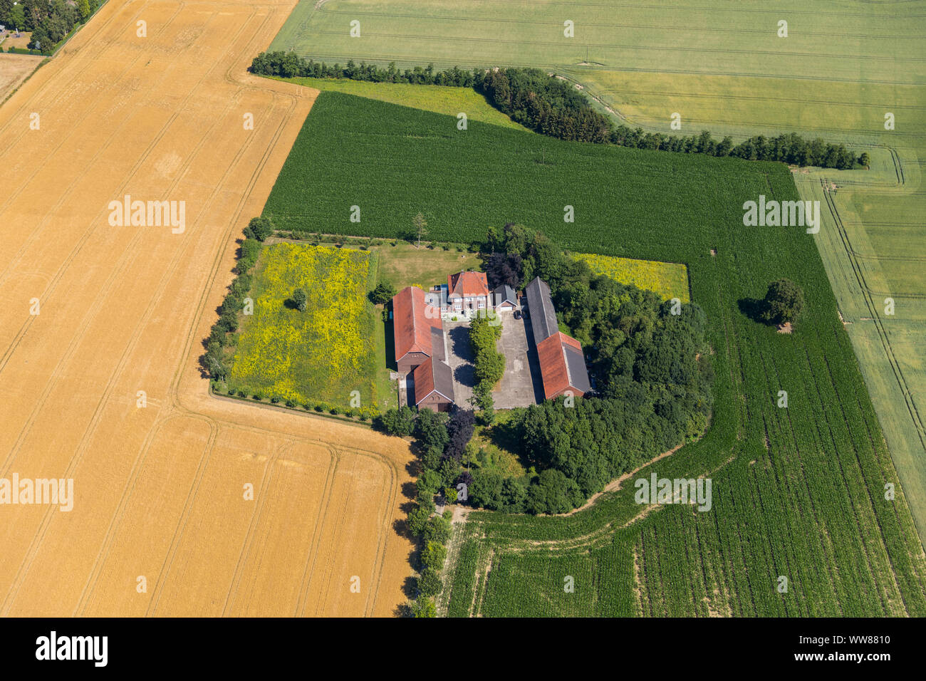 Farm between fields, Alte Beckumer StraÃŸe, Rosendahl, Ahlen, Ruhrgebiet, North Rhine-Westphalia, Germany Stock Photo