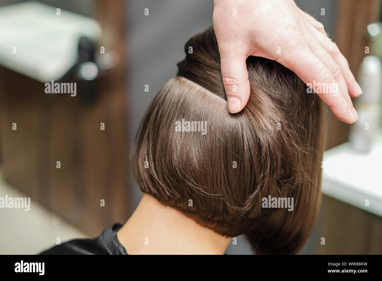 Professional Hair Stylist Work Hairdresser Stock Photos
