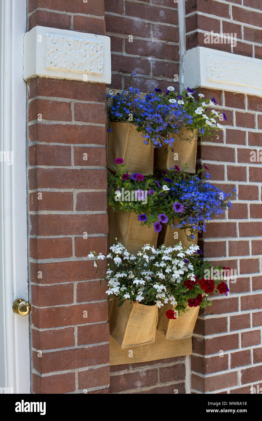 Netherlands, Groningen, alternative flower pots Stock Photo Alamy