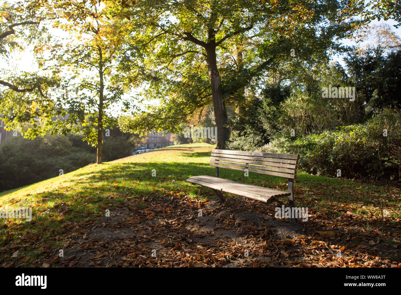 Bench in a park Stock Photo