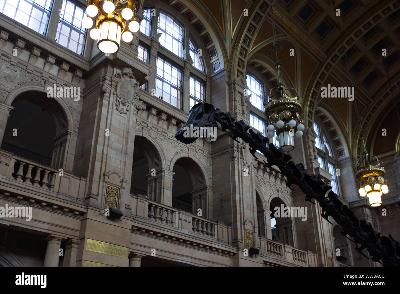 Dippy on display at the Kelvingrove Art Gallery and Museum. The Natural History Museum's iconic Diplodocus cast Stock Photo
