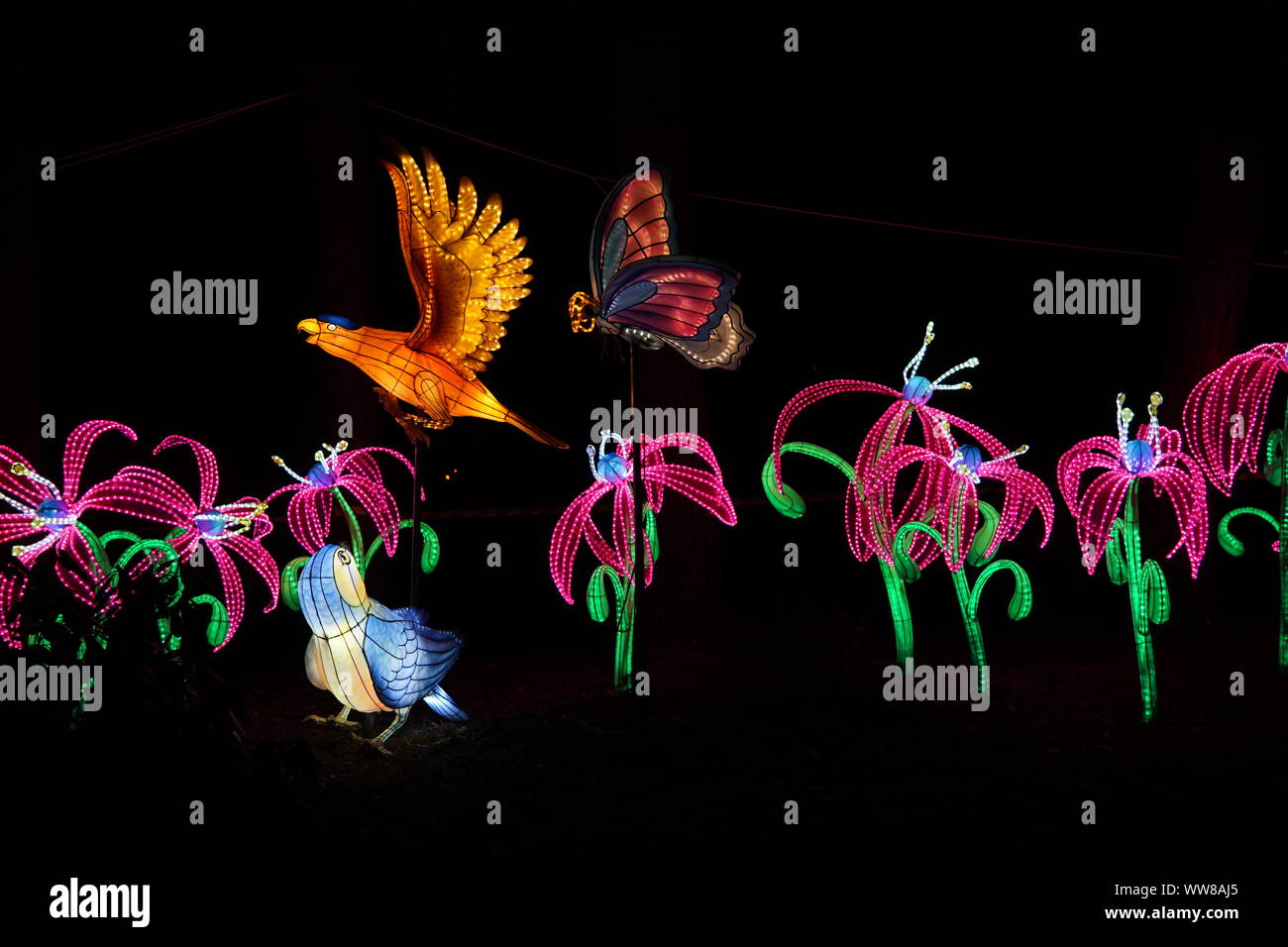 Chinese lantern festival. Blue bird, butterflies and flowers Stock