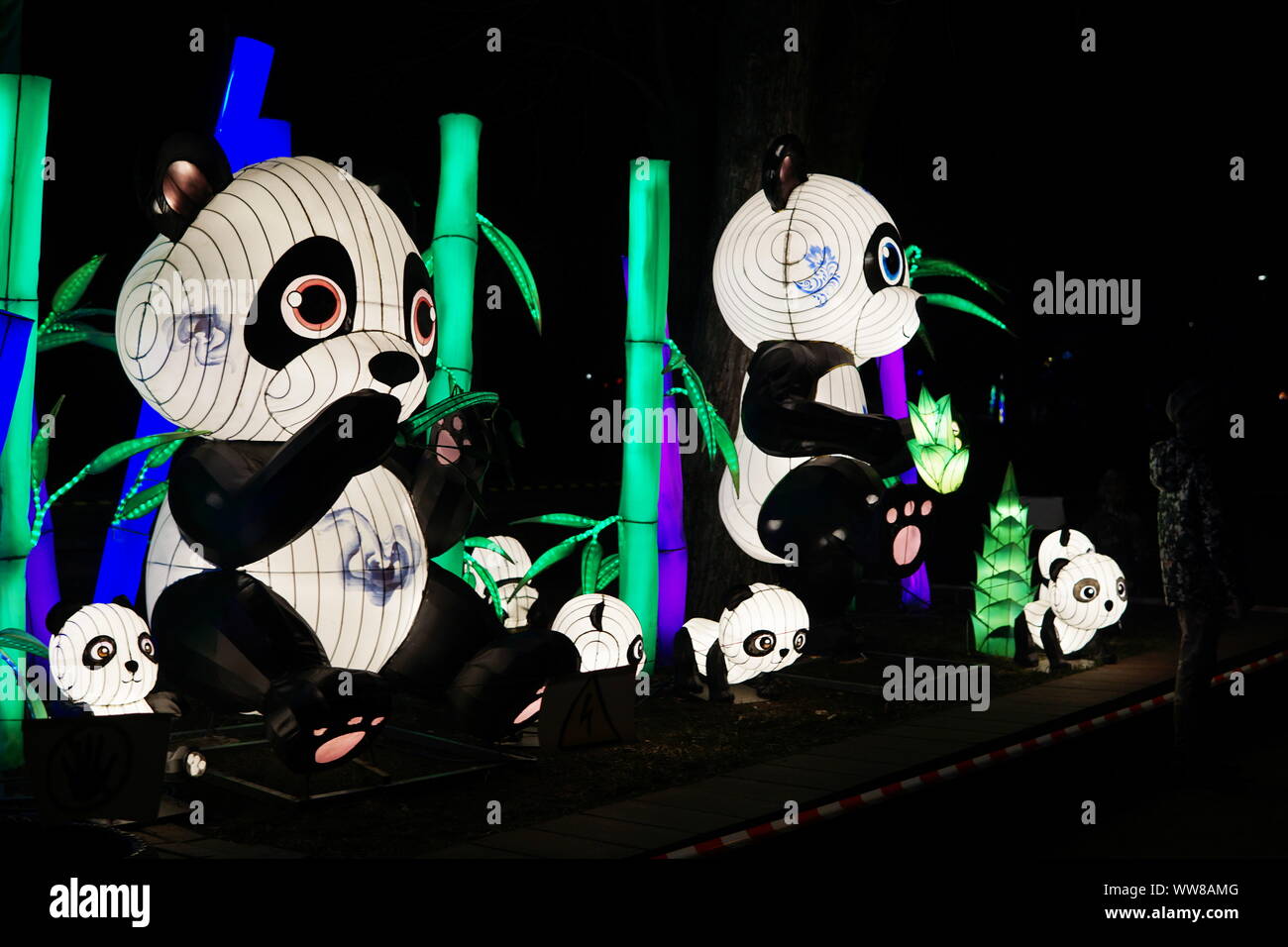 Chinese lantern festival. Family of pandas eating bamboo. Stock Photo