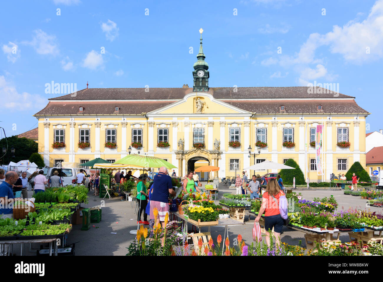 Stockerau, Town Hall, market day, Lower Austria, Austria Stock Photo