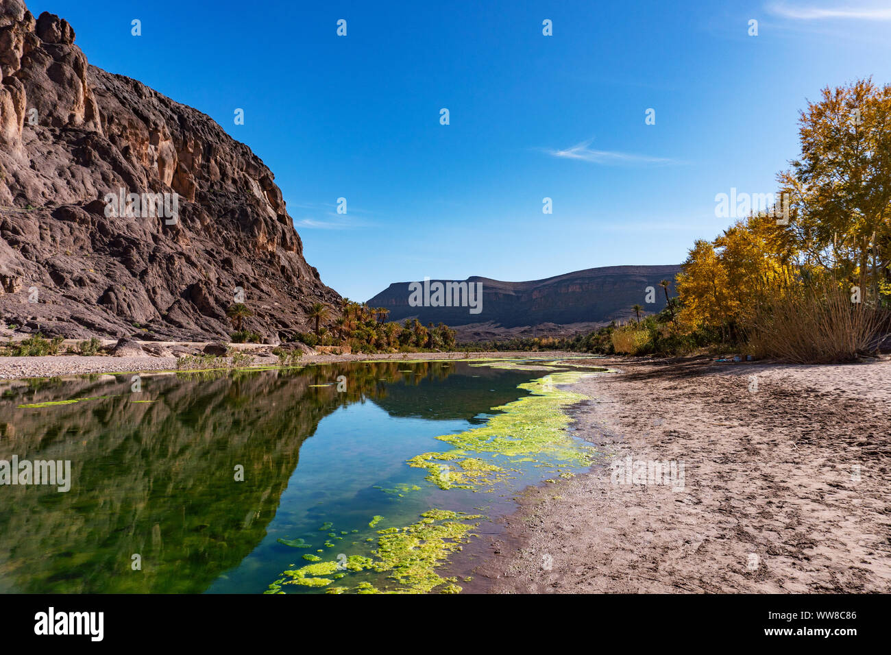 Fresh river in Beautiful Desert oasis nature landscape in Oasis De Fint  near Ourzazate in Morocco, North Africa Stock Photo - Alamy