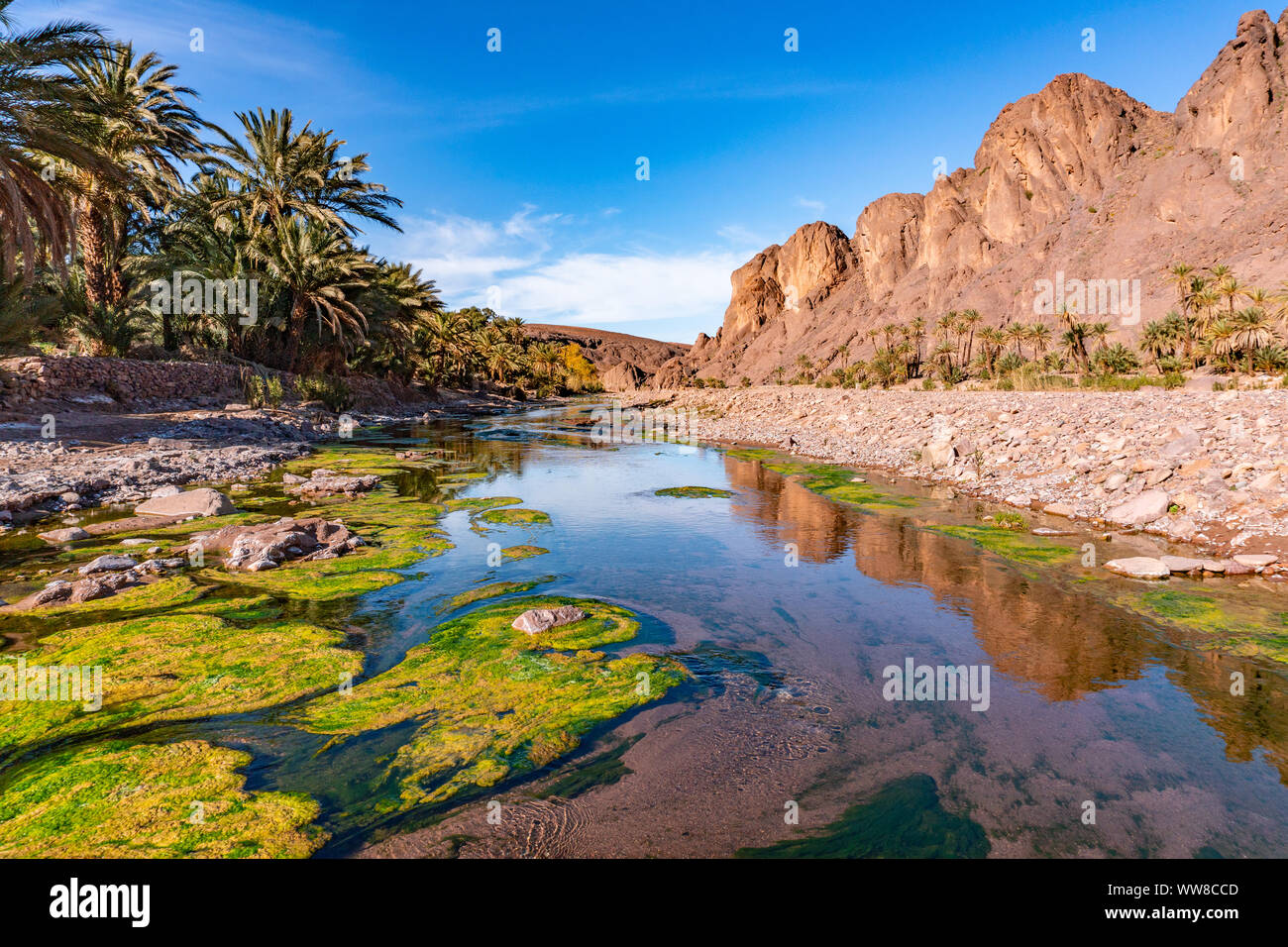 Fresh river in Beautiful Desert oasis nature landscape Oasis Fint near Ourzazate in Morocco, North Africa Stock Photo -