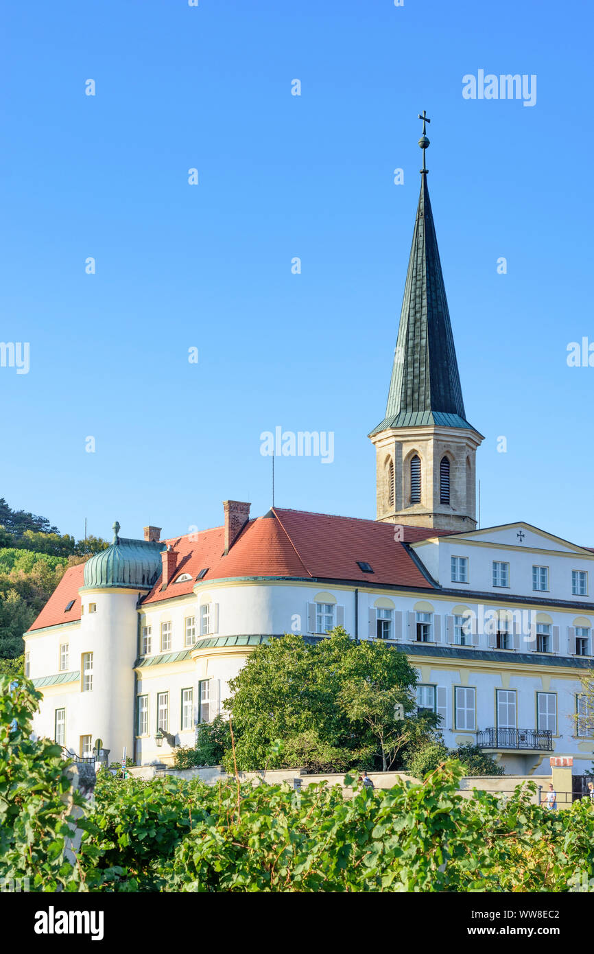 Gumpoldskirchen, Deutschordensschloss (German Order Castle), vineyard, wine, Wienerwald, Vienna Woods, Lower Austria, Austria Stock Photo