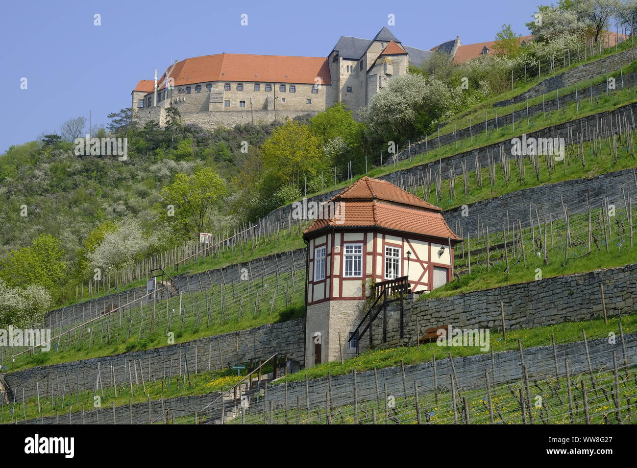 Vineyard Memorial Stock Photos Vineyard Memorial Stock Images