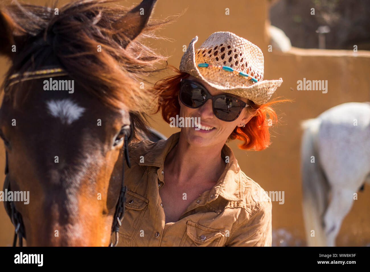 cheerful young lady in countryside prepare to ride her beautiful brown ...