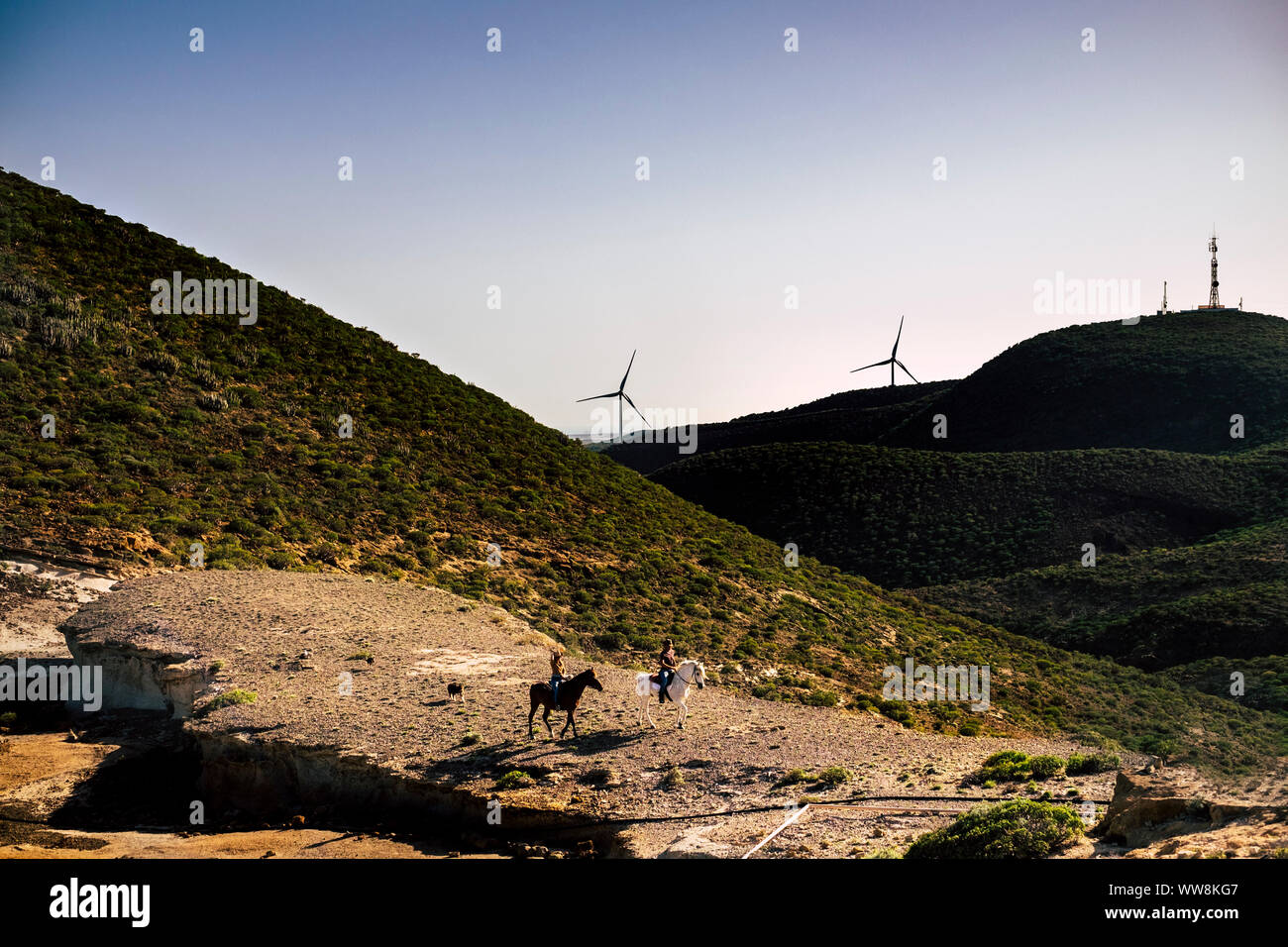 couple of rider with horses in adventure leisure travel activity in the valley with mountains and wind mills for energy production on background. freedom spirit and alternative lifestyle concept Stock Photo