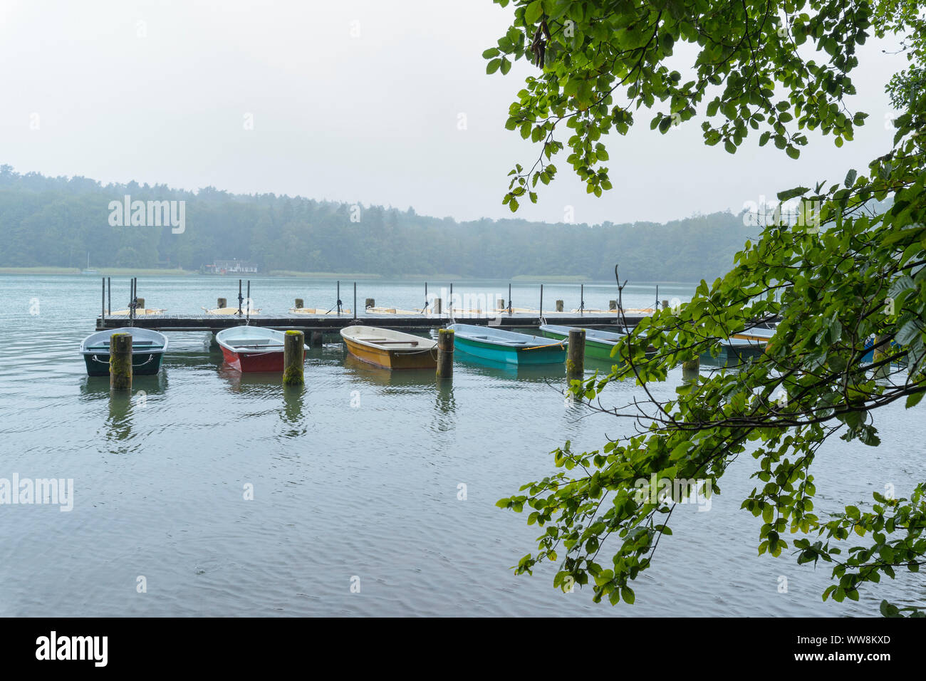 Boats on the lake shore in the morning, Lake GroÃŸer Stechlinsee, Neuglobsow, Rheinsberg, Ruppiner Land, Brandenburg, Germany Stock Photo