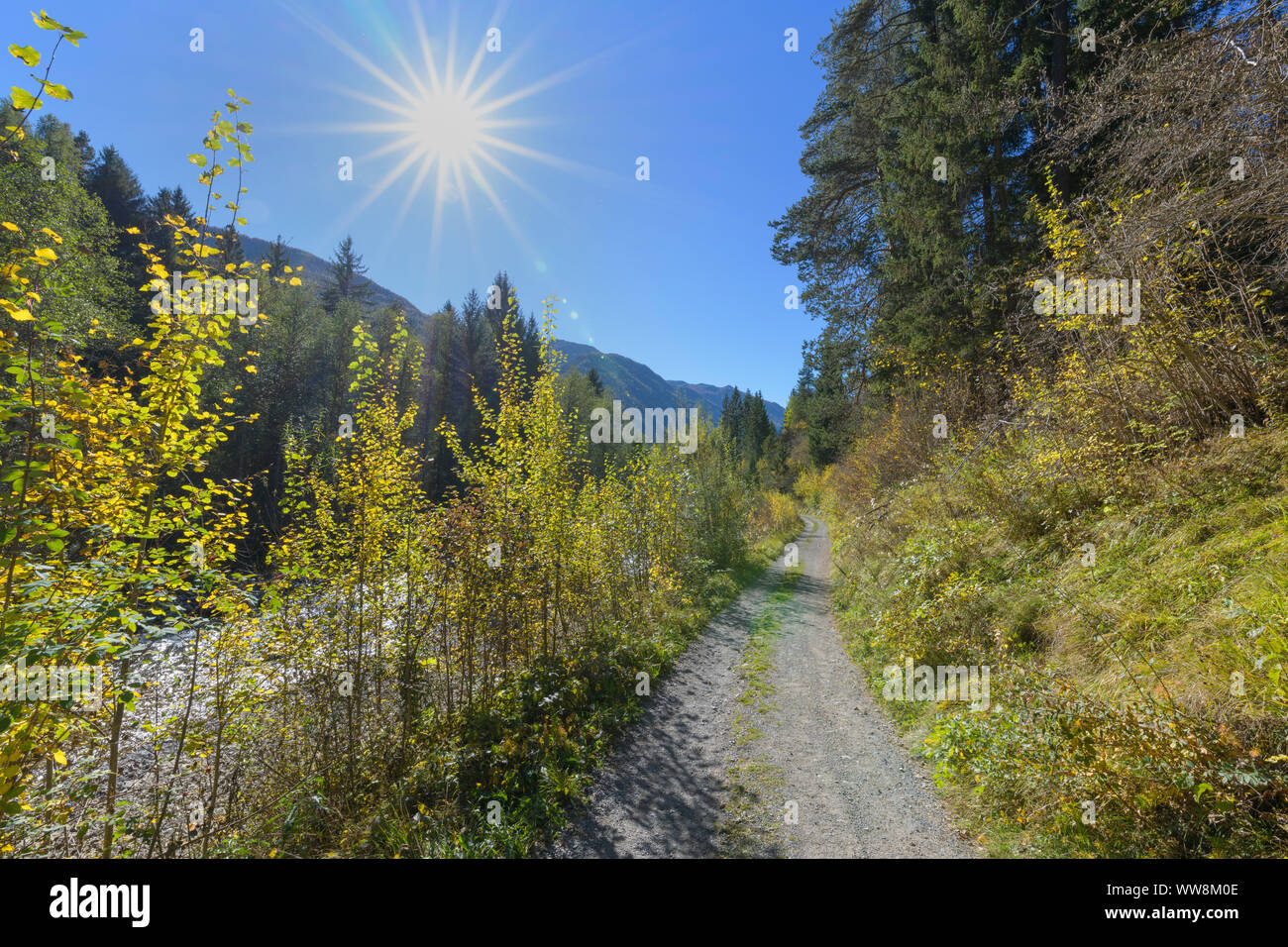 Dirt road on the river with sun in autumn, Filisur, Grisons, Switzerland, European Alps Stock Photo