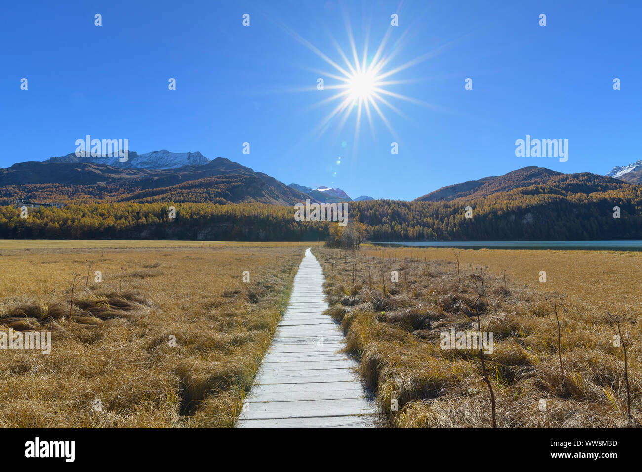 Boardwalk with sun on Lake Silsersee in autumn, Sils im Engadin, Engadin, Grisons, Switzerland, European Alps Stock Photo