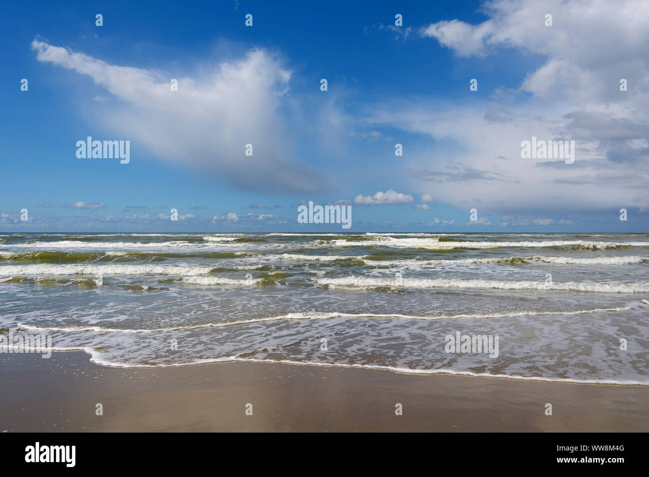 Beach of noordwijk hi-res stock photography and images - Alamy