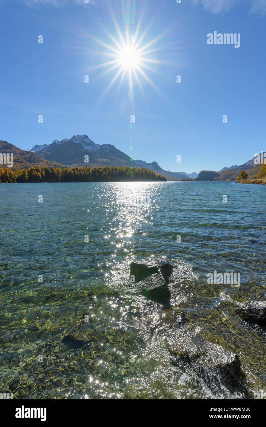 Lake Silsersee with sun in autumn, Sils im Engadin, Engadin, Grisons, Switzerland, European Alps Stock Photo
